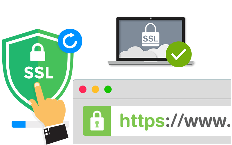 Dịch vụ SSL